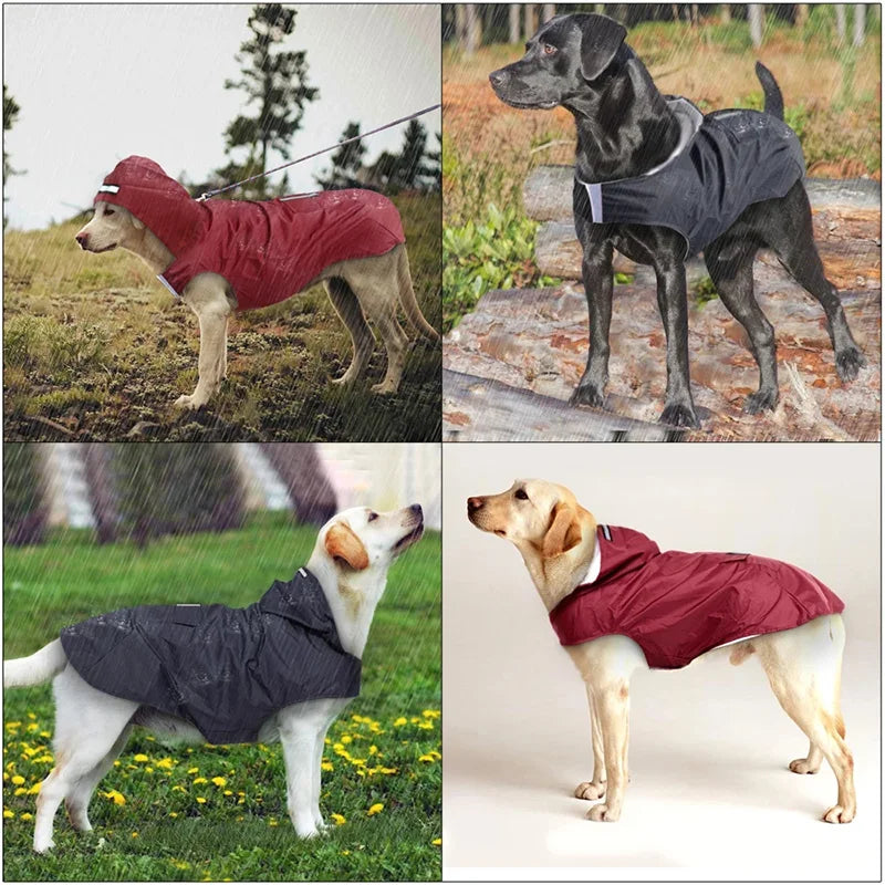 Dog Raincoat Small Large Dogs Waterproof Pet